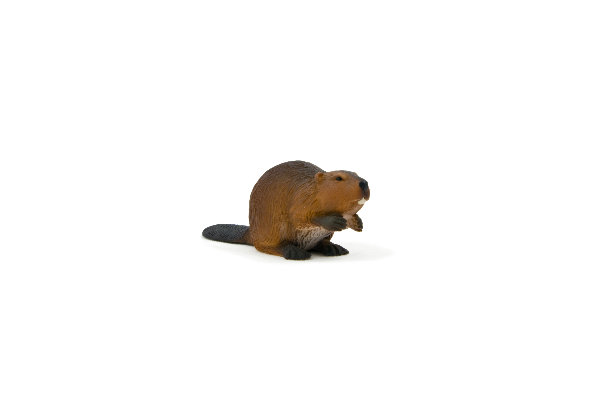 MOJO Beaver