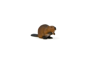 MOJO Beaver