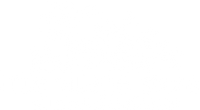 Little Village Store