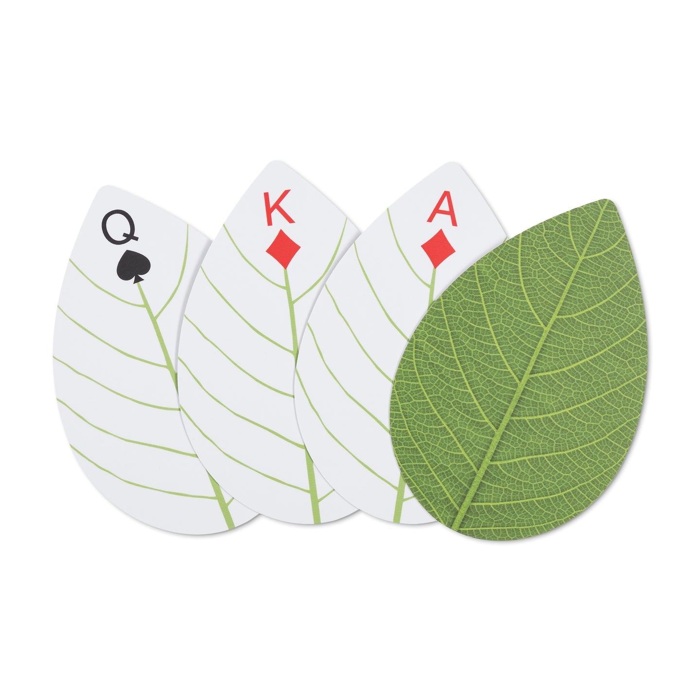 Huckleberry : Leaf Cards