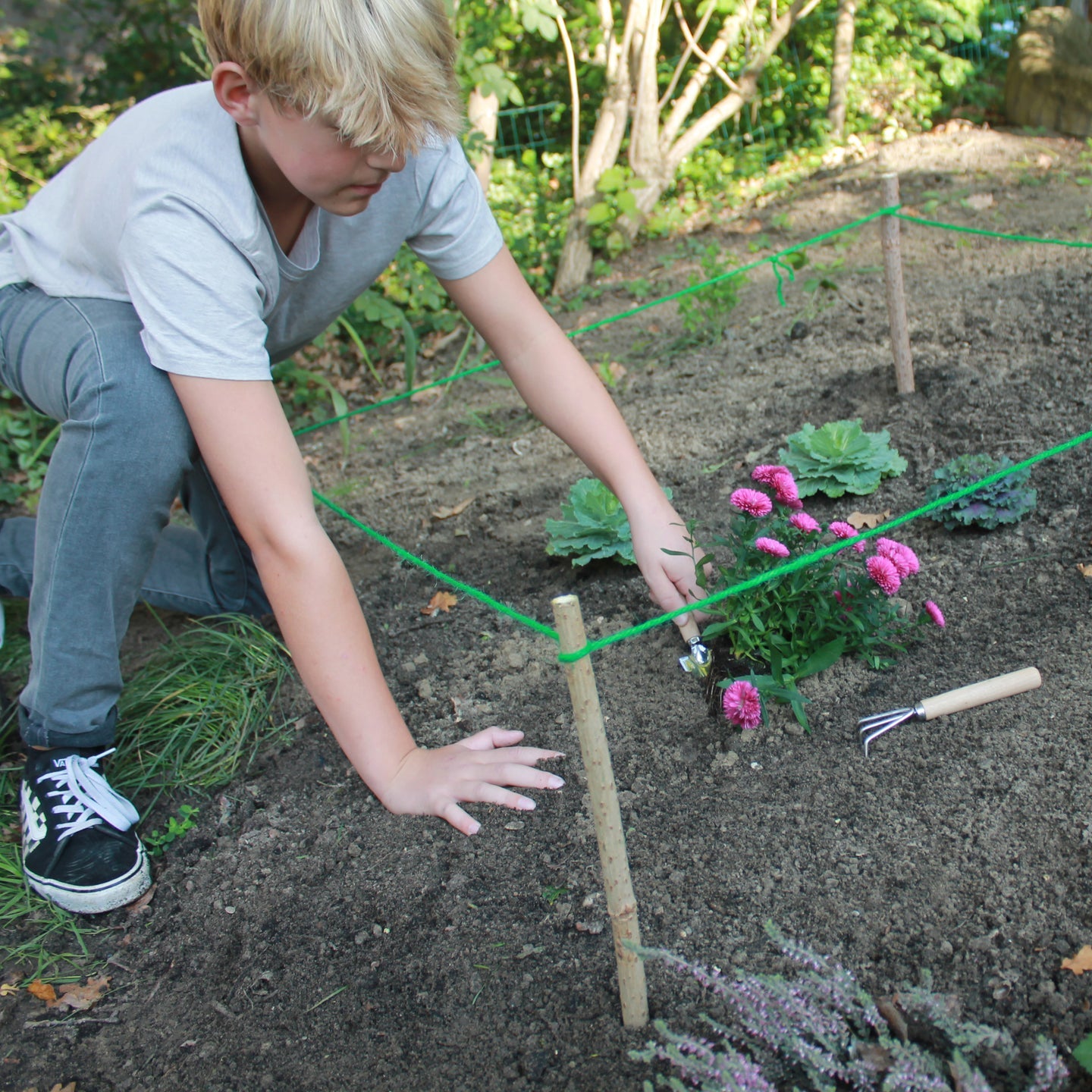 Huckleberry: Make Your Garden